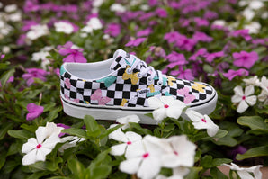 Tenisi VANS Doheny